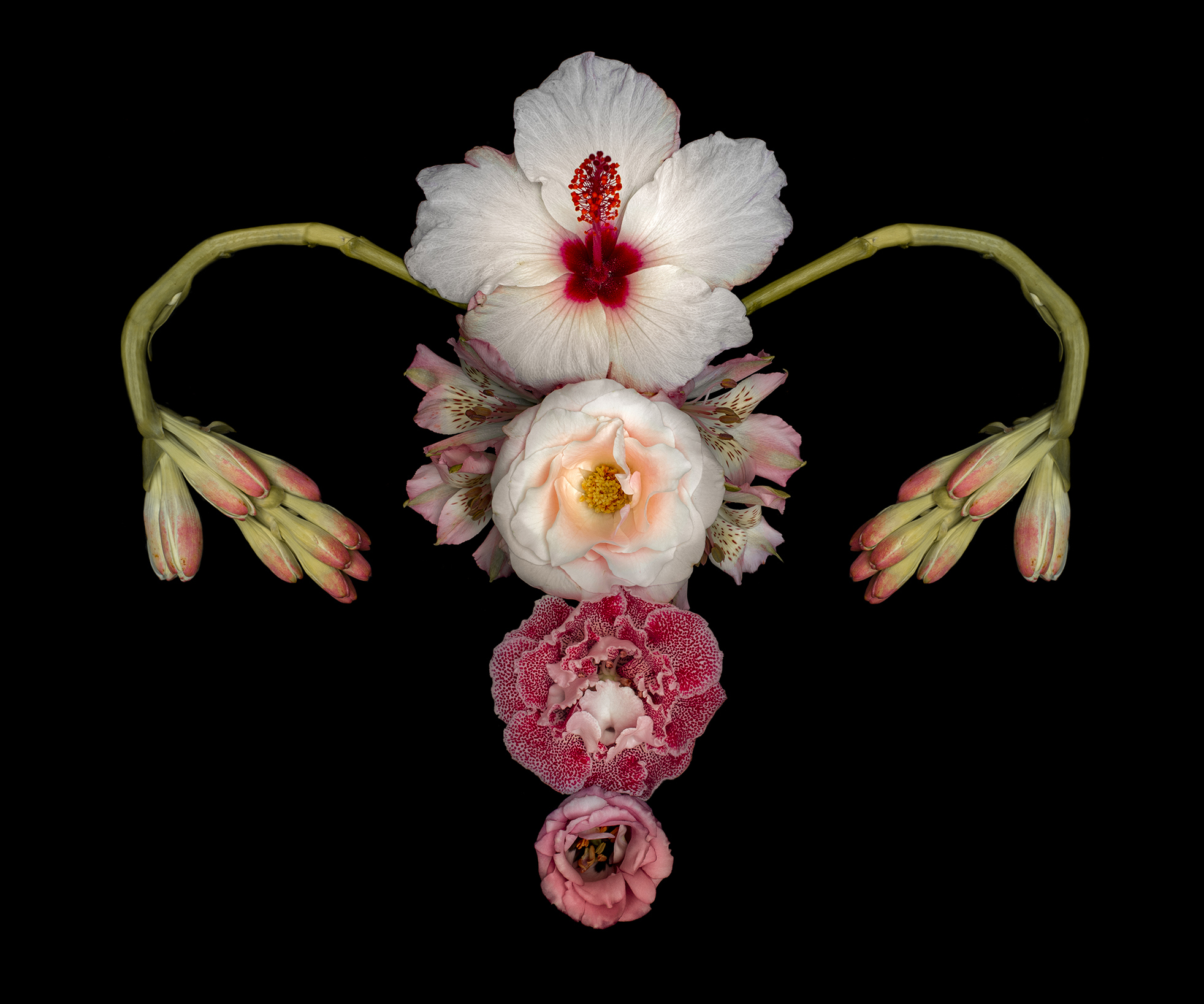 utero 43 lar de2021 Utero 46 - Catharina Suleiman